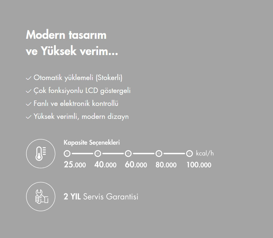 BERUSSA BRS-S Serisi Stokerli (Otomatik Yüklemeli) Kazanlar - Görsel 3
